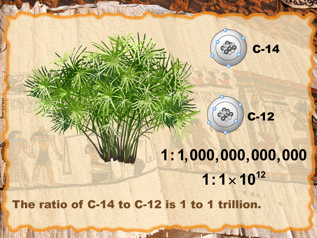 Math Clip Art--Applications of Ratios and Proportions--Carbon Dating 5