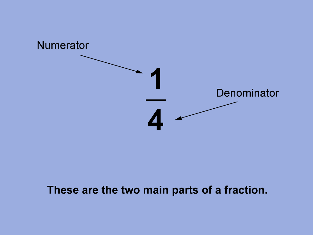 These are the two main parts of a fraction.