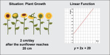 Math Clip Art: Linear Function Models 5